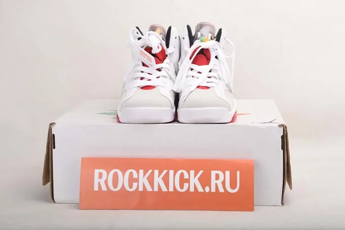 AIR JORDAN 6 “HARE” CT8529-062