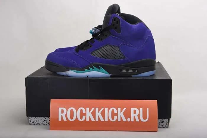 AIR JORDAN 5 RETRO 136027-500