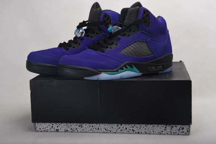 AIR JORDAN 5 RETRO 136027-500