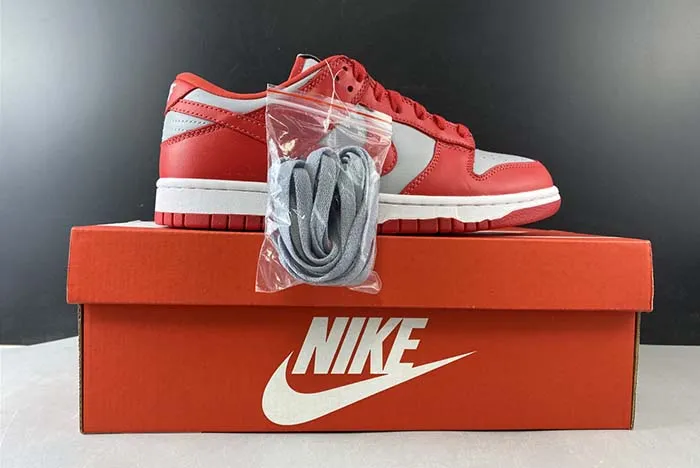 Nike Dunk Low SB CU1726-600