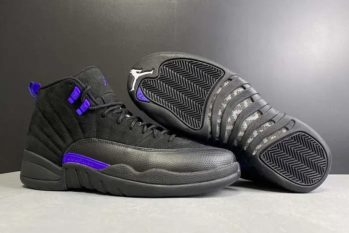 Air Jordan 12 “Dark Concord” CT8013-005