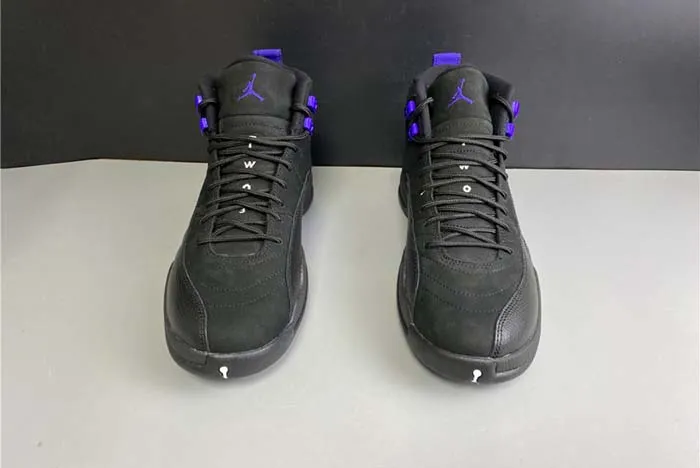Air Jordan 12 “Dark Concord” CT8013-005