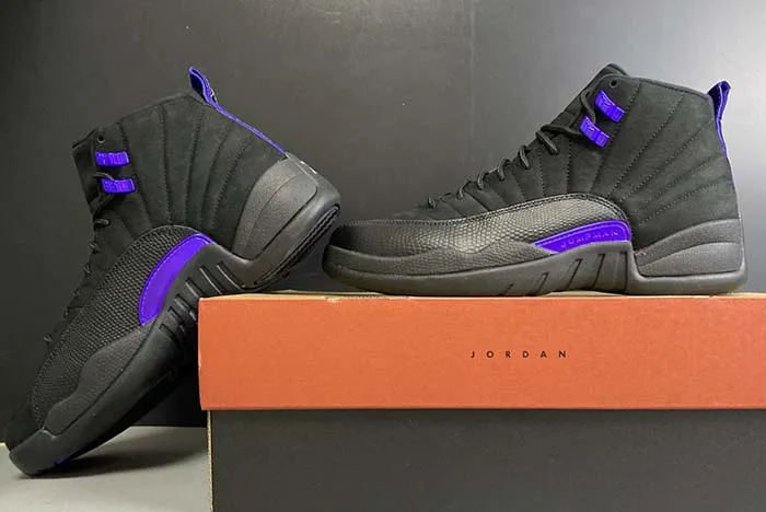 Air Jordan 12 “Dark Concord” CT8013-005