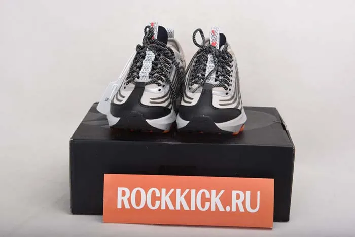 AIR MAX ZOOM 950  CJ6700 002