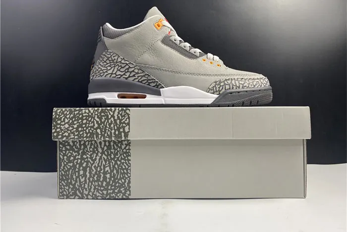 Jordan 3 Retro Cool Grey (2021) CT8532-012