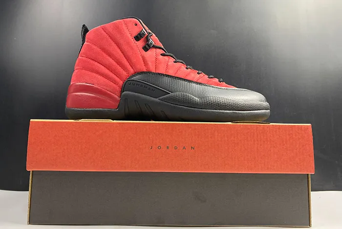 Air Jordan 12 Reverse Flu Game CT8013 602
