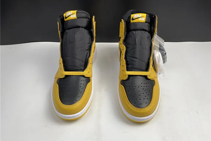 Air Jordan 1 High OG Pollen Black White 555088-701