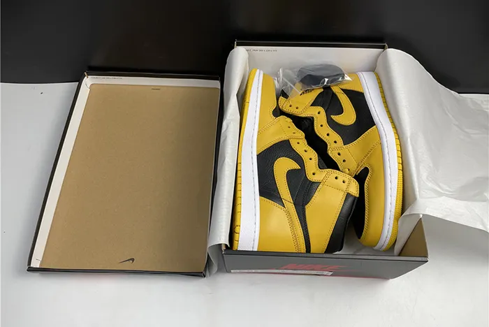 Air Jordan 1 High OG Pollen Black White 555088-701