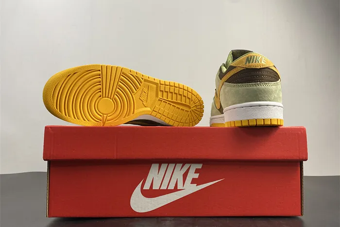 Nike Dunk Low Dusty Olive Pro Gold DH5360 300