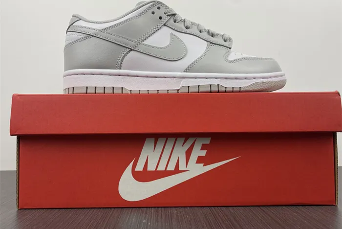 NIKE DUNK LOW GREY FOG DD1391 103