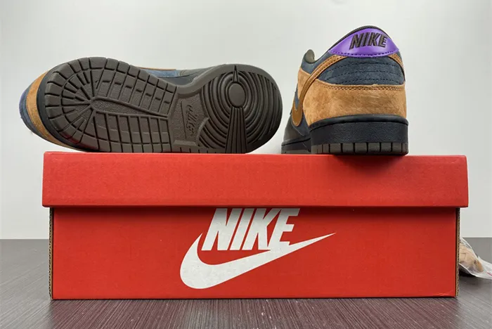 Nike Dunk Low Cider DH0601-001