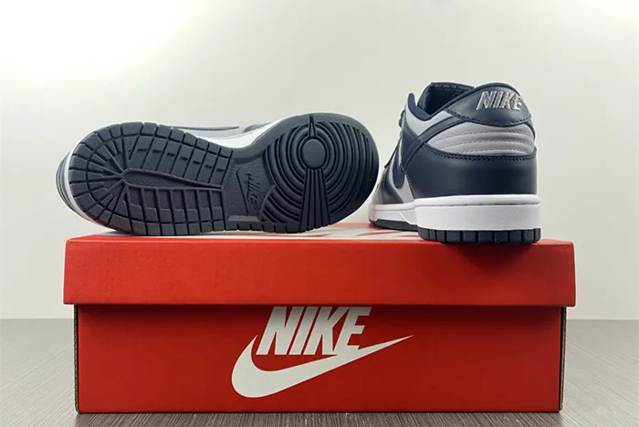 Nike Dunk Low Georgetown DD1391-003