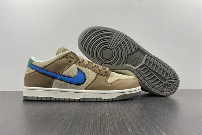 Nike Dunk Low DO6712-200