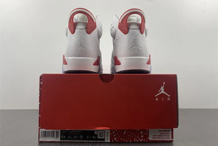 AIR JORDAN 6 RED OREO CT8529-162