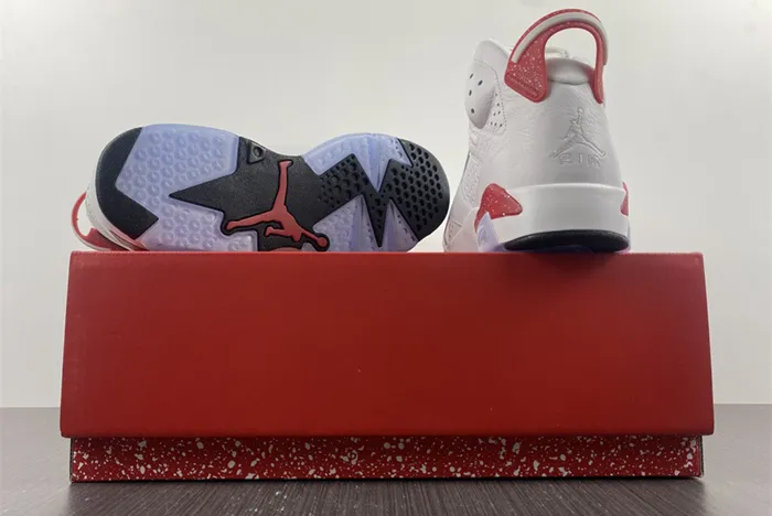 AIR JORDAN 6 RED OREO CT8529-162