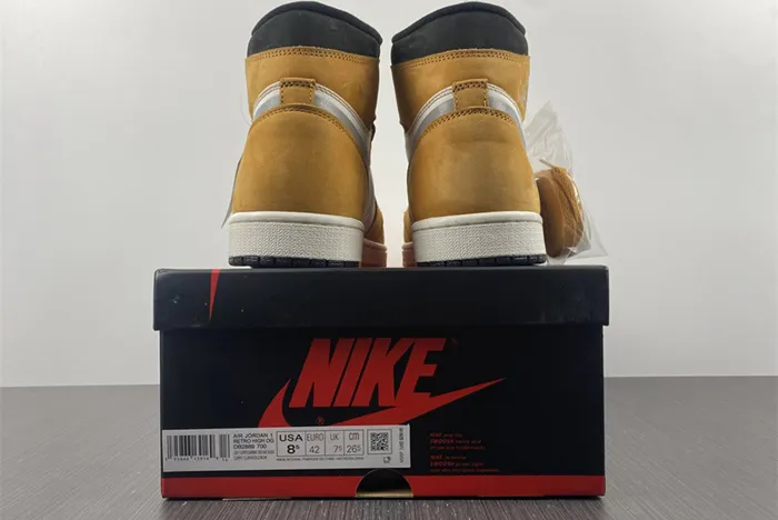 Air Jordan 1 Element Gore Tex Light Curry DB2889 700