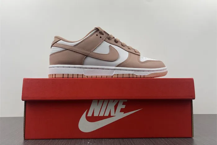 Nike Dunk Low Rose Whisper DD1503-118