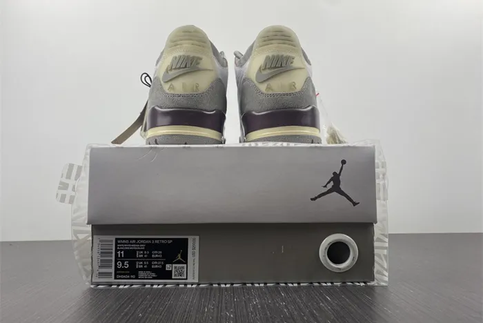 Air Jordan 3 x A Ma Maniere AJ3 DH3434-110