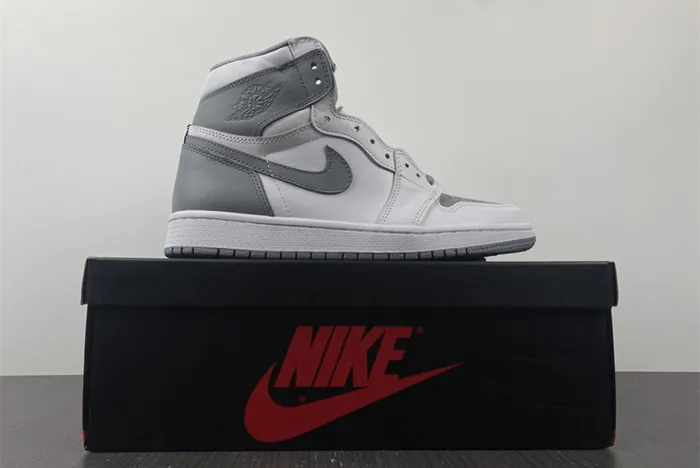 Air Jordan 1 High OG Stealth White 555088 037