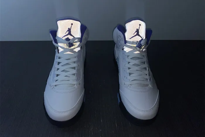 Air Jordan 5 Retro Concord DD0587-141