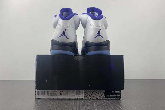 Air Jordan 5 Retro Concord DD0587-141