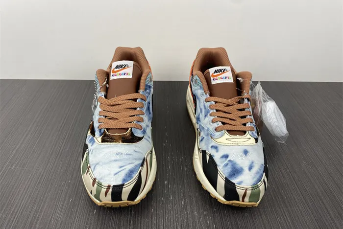 Concepts x Nike Air Max 1 Heavy Multi Color DN1803 900