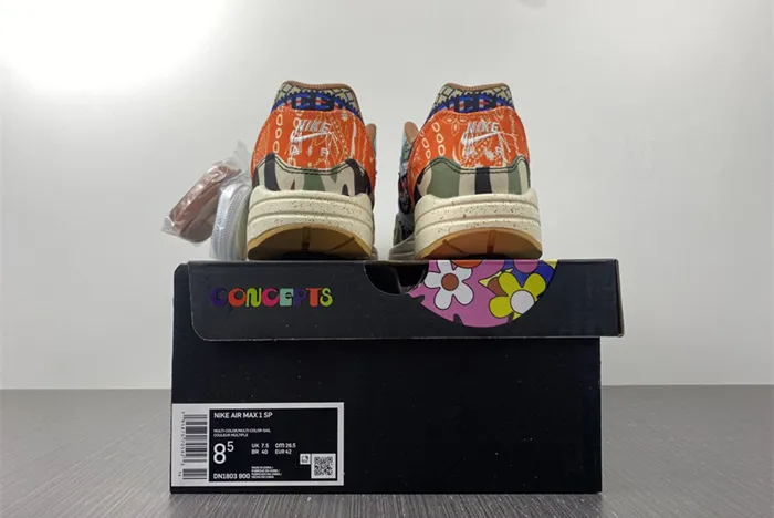 Concepts x Nike Air Max 1 Heavy Multi Color DN1803 900