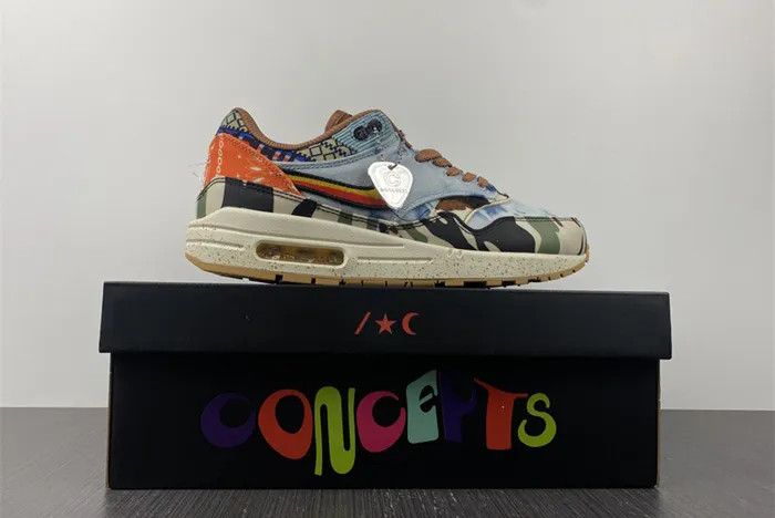 Concepts x Nike Air Max 1 Heavy Multi Color DN1803 900