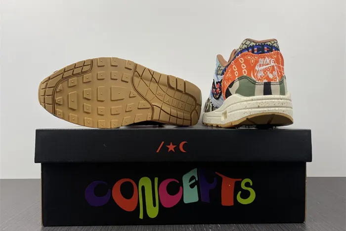 Concepts x Nike Air Max 1 Heavy Multi Color DN1803 900