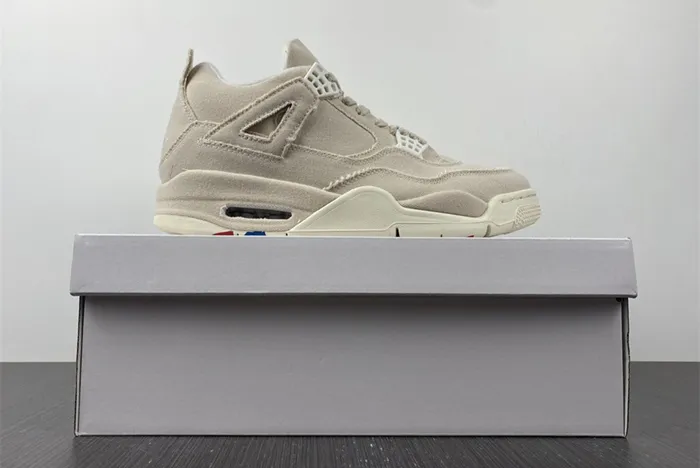 Jordan 4 Retro Blank Canvas DQ4909 100