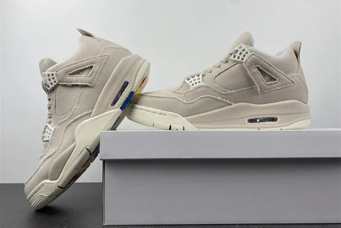 Jordan 4 Retro Blank Canvas DQ4909 100
