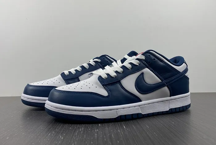 NIKE DUNK LOW VALERIAN BLUE DD1391 400