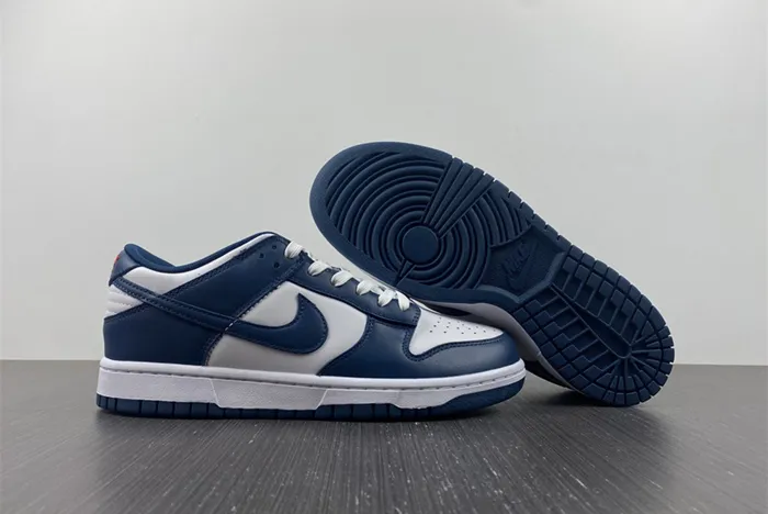 NIKE DUNK LOW VALERIAN BLUE DD1391 400