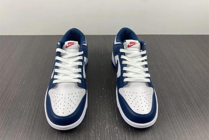 NIKE DUNK LOW VALERIAN BLUE DD1391 400
