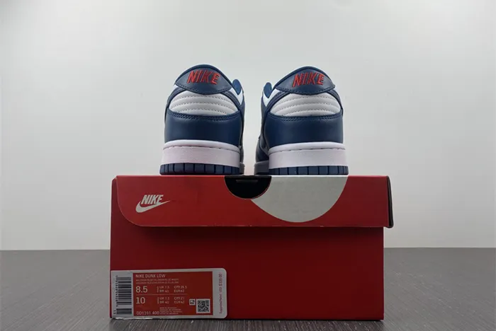 NIKE DUNK LOW VALERIAN BLUE DD1391 400