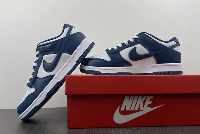NIKE DUNK LOW VALERIAN BLUE DD1391 400
