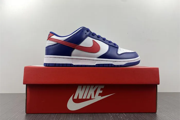 Nike Dunk Low 2022 USA DD1503-119
