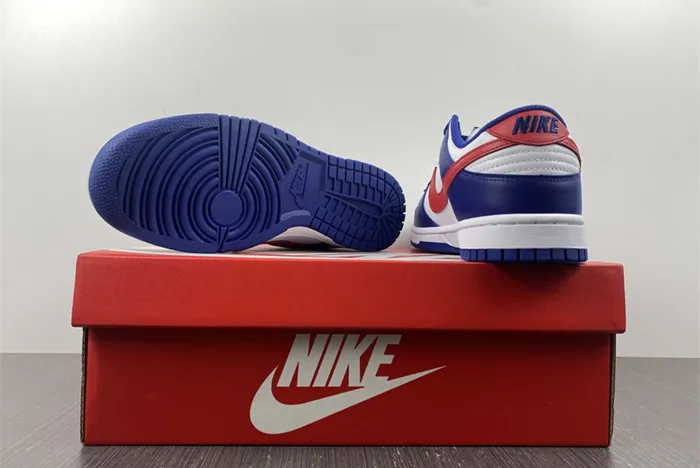 Nike Dunk Low 2022 USA DD1503-119