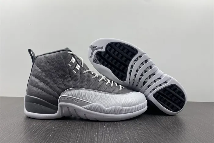 Air Jordan 12 STEALTH CT8025-610