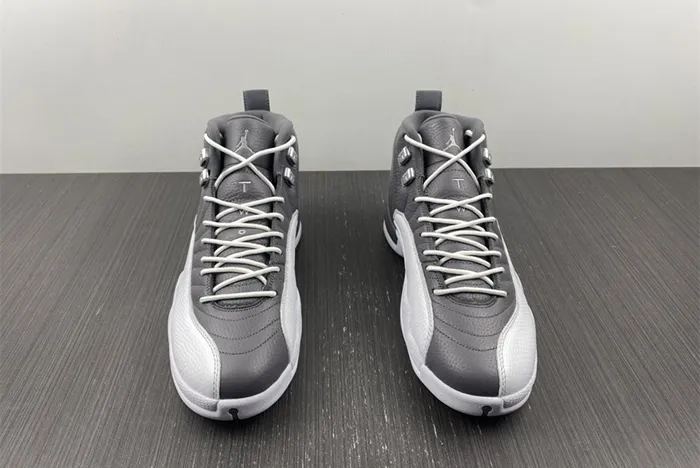 Air Jordan 12 STEALTH CT8025-610