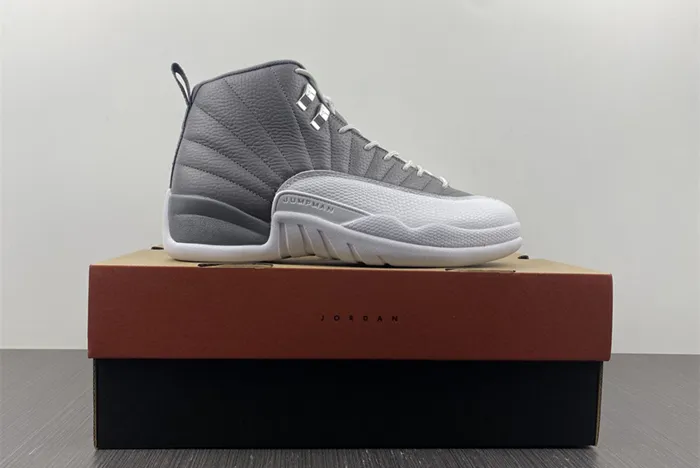 Air Jordan 12 STEALTH CT8025-610