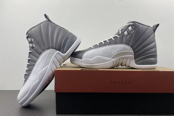 Air Jordan 12 STEALTH CT8025-610