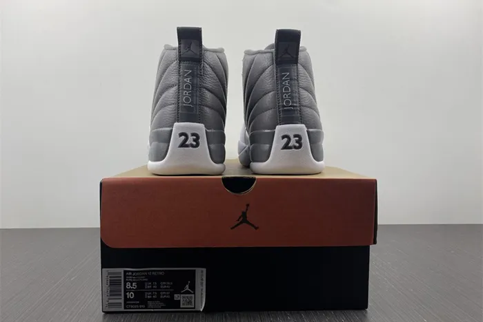 Air Jordan 12 STEALTH CT8025-610