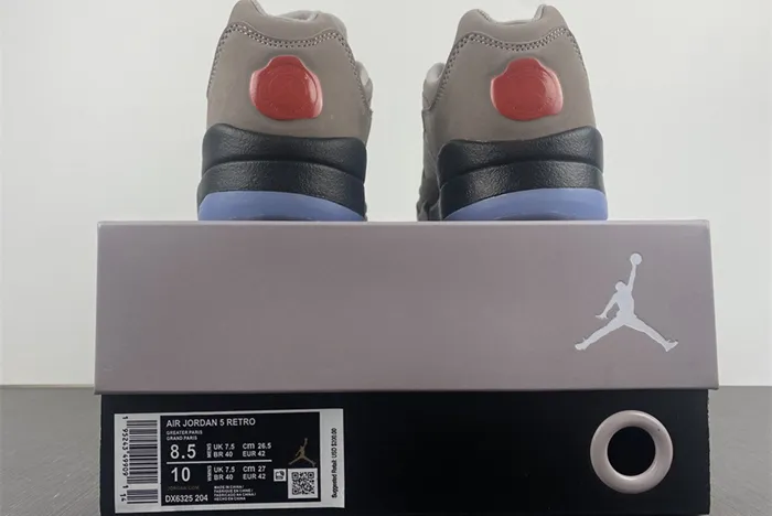 Jordan 5 Low “PSG” DX6325-204