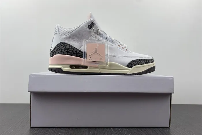 Jordan 3 Retro Neapolitan Dark Mocha CK9246-102