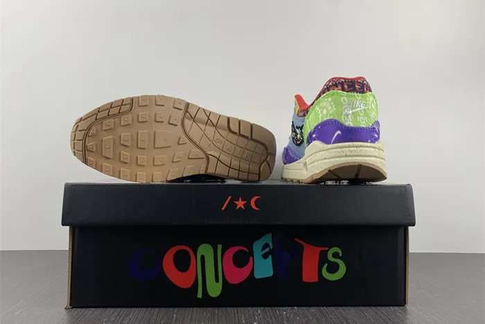 Concepts x Nike Air Max 1 Far Out Wild Violet Multi Color Sail DN1803 500