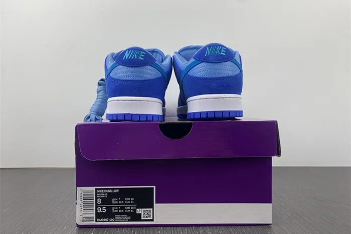 Nike SB Dunk Low Blue Raspberry DM0807 400