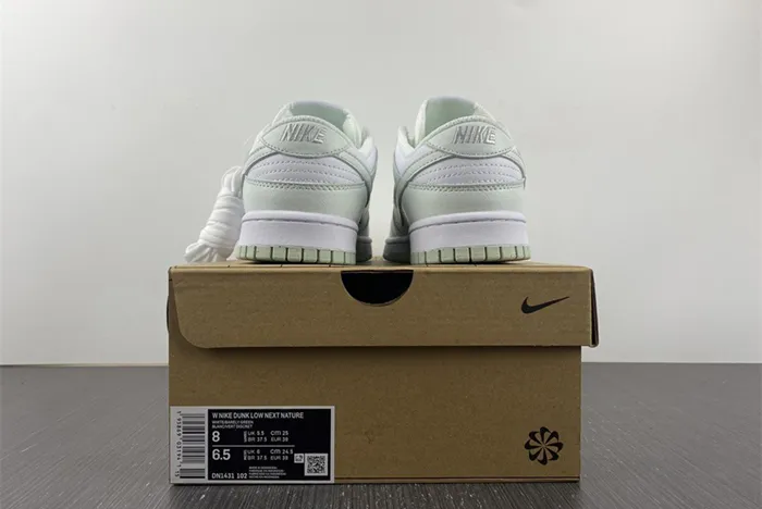 Nike Dunk Low Next Nature White Mint DN1431-102