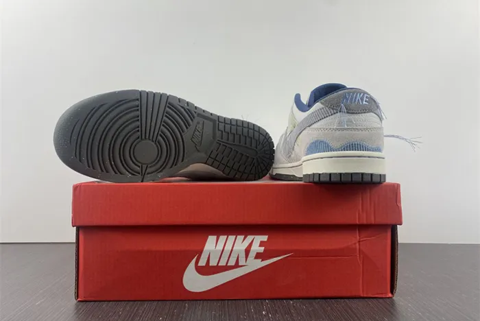 Nike Dunk Low Bright Side Grey Blue DQ5076-001