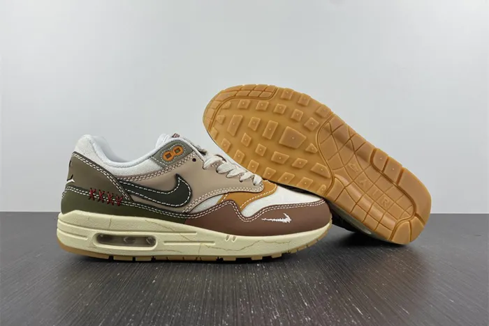 Nike Air Max 1 Premium Wabi Sabi DQ8656 133